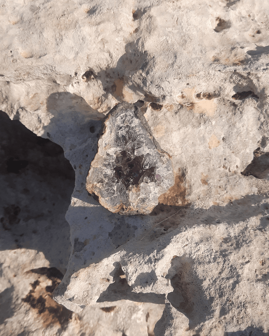 Amethyst Geode - Sacred