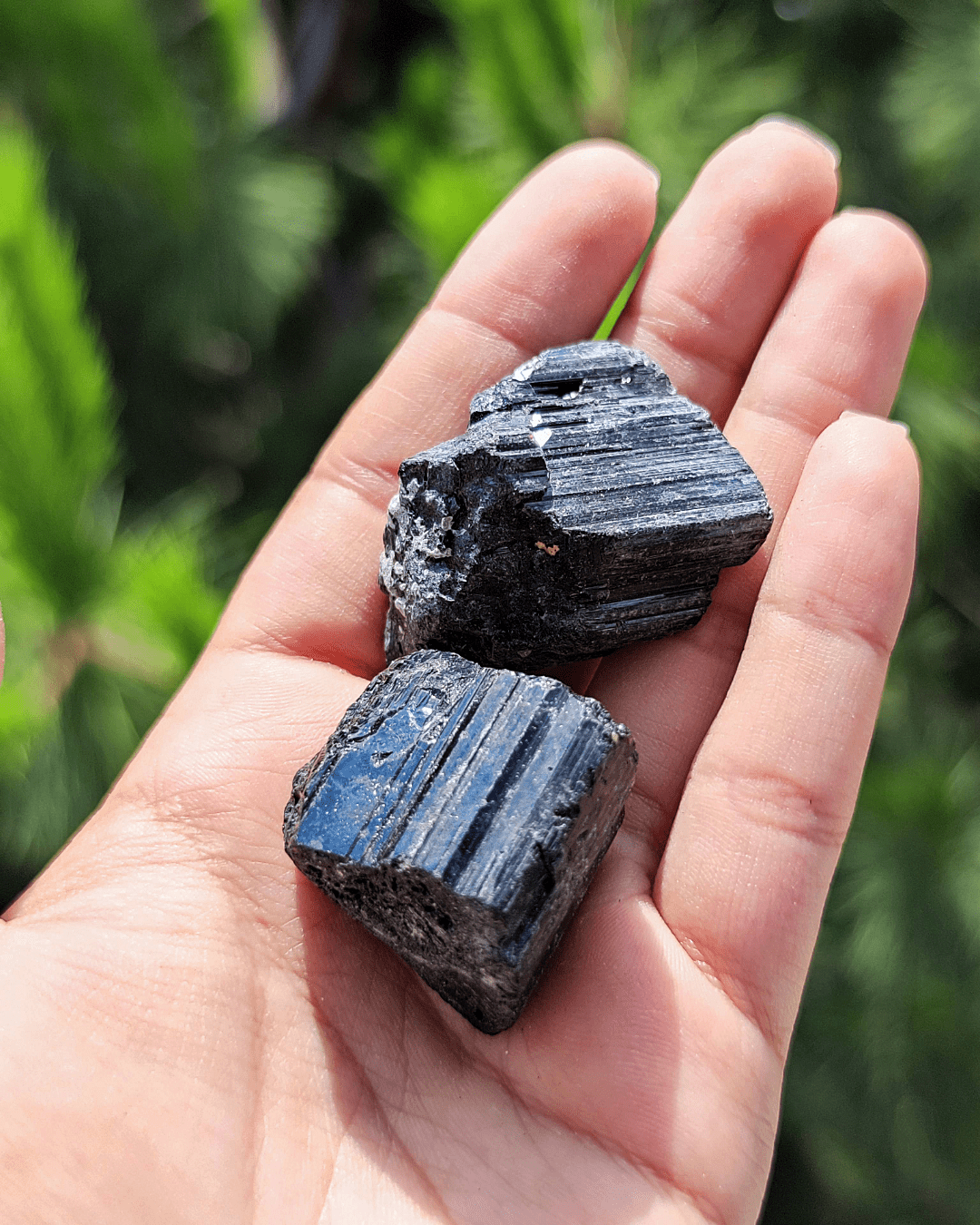 Black Tourmaline - Sacred
