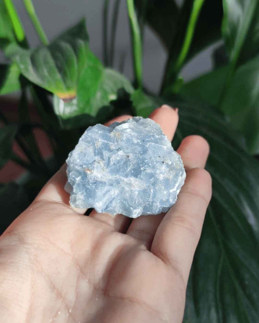 Invest in our Blue Calcite crystal from our genuine Crystal Collection in Lebanon at Sacred!