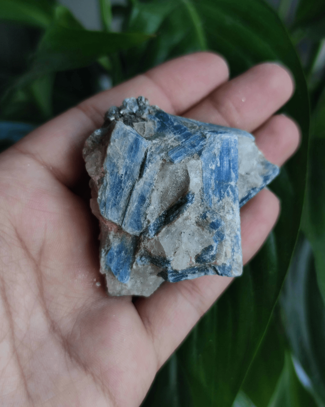 Blue Kyanite - Sacred