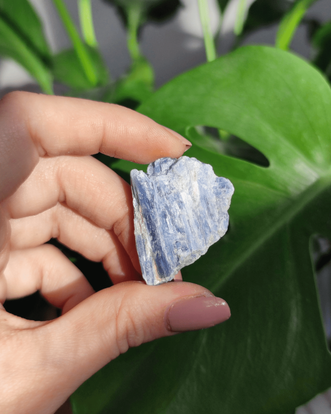 Blue Kyanite • The Stone of Alignment in Lebanon at Sacred
