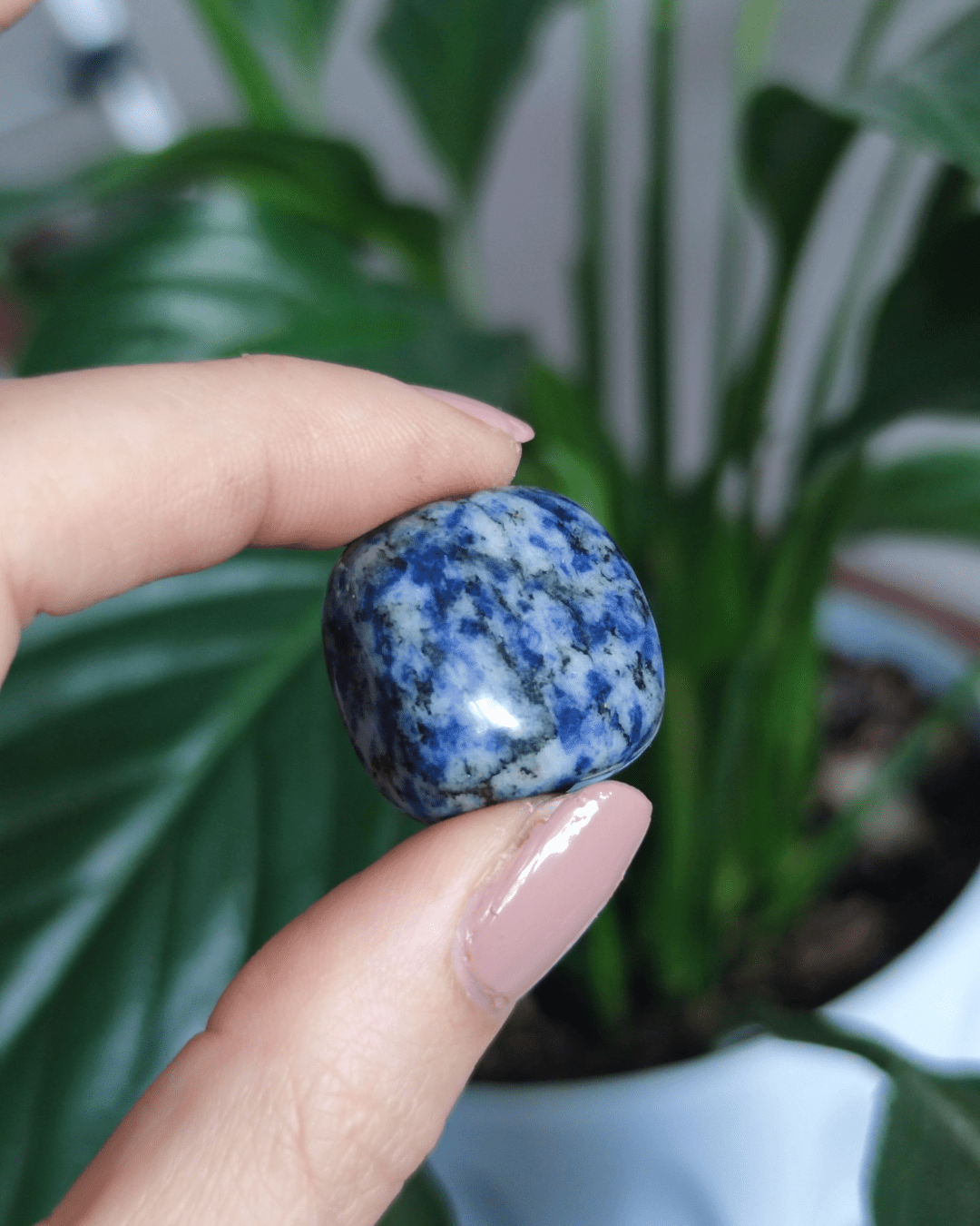 Invest in our Blue Spot Jasper crystal from our genuine Crystal Collection in Lebanon at Sacred!