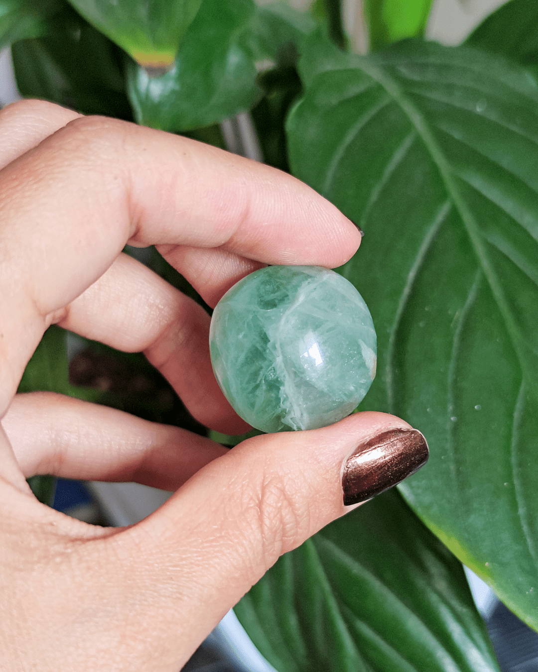 Fluorite • The Stone of Focus and Flow in Lebanon at Sacred