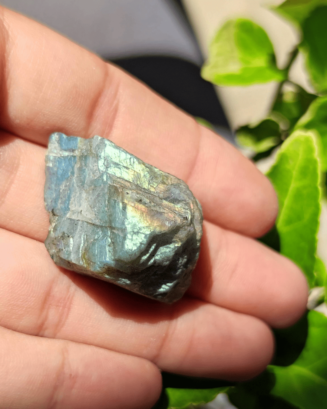 Labradorite - Sacred