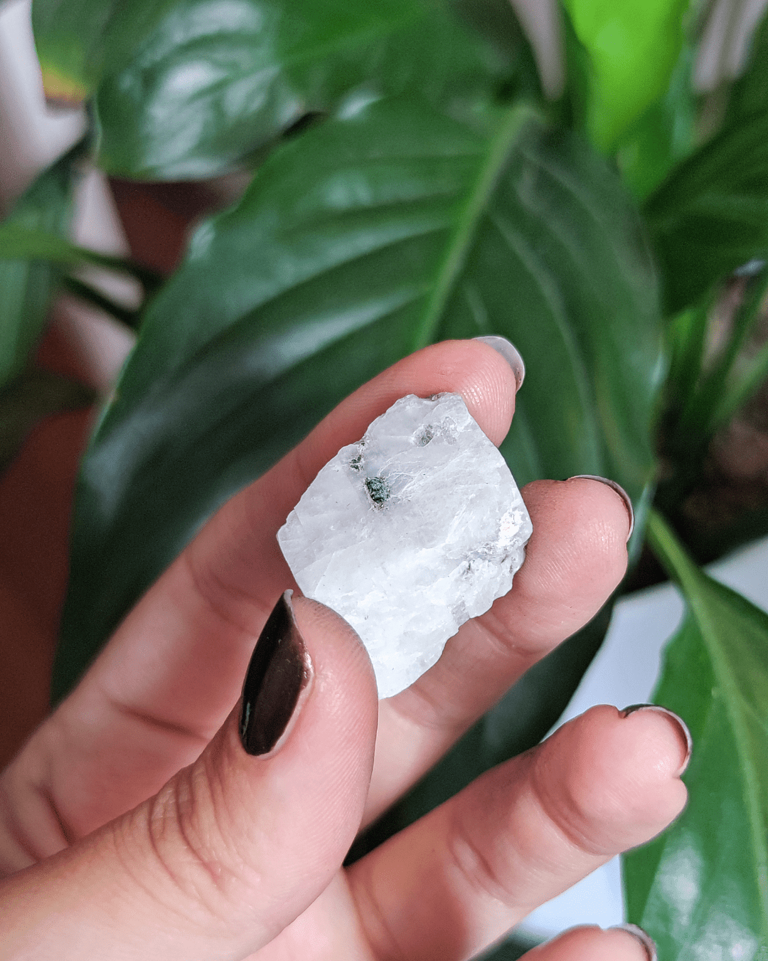Moonstone • The Stone of Divine Feminine Energy in Lebanon at Sacred
