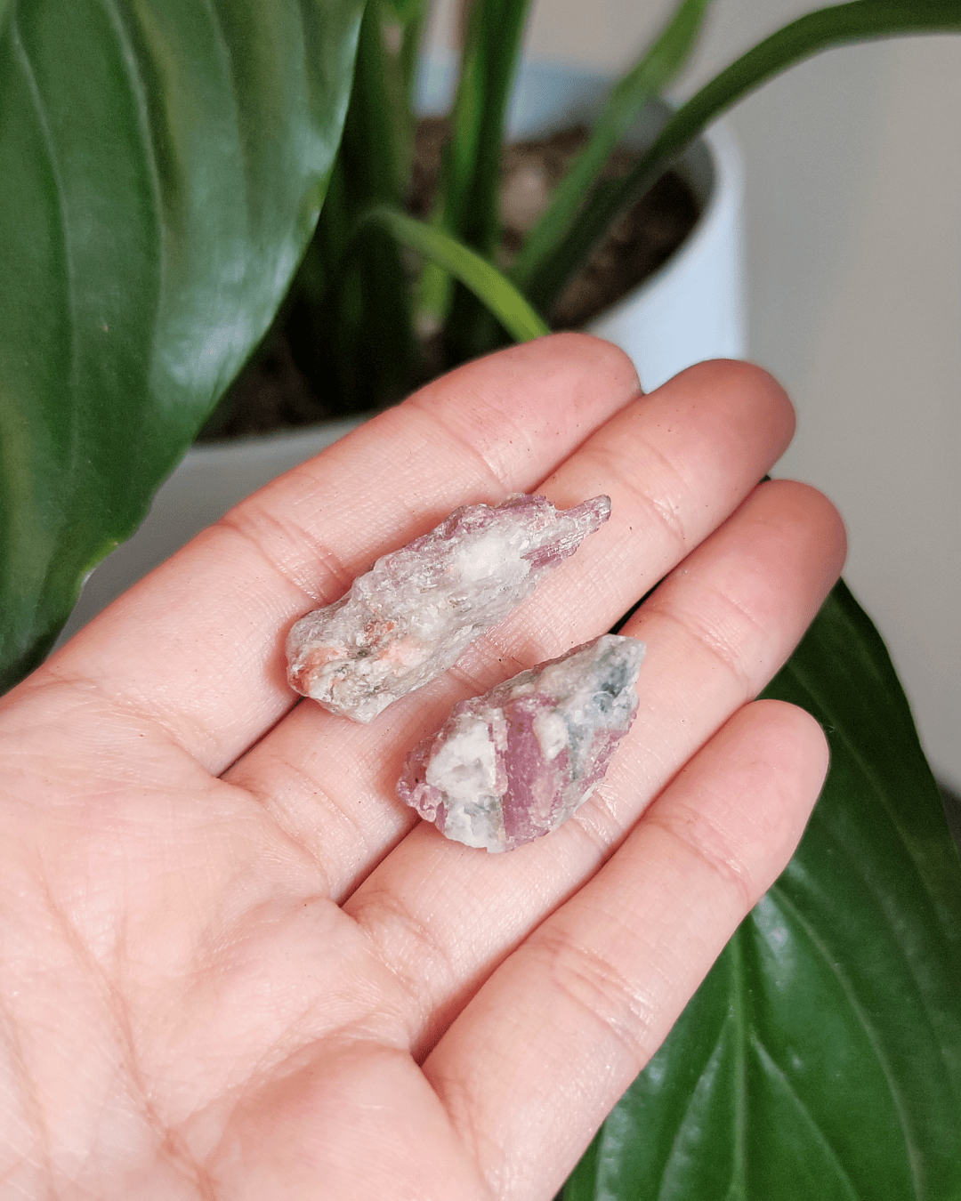 Invest in our Pink Tourmaline • The Stone of Balance from our wide Variety of Natural Crystals in Lebanon at Sacred!