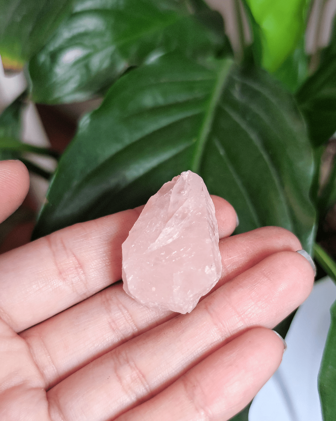 Rose Quartz • The Stone of Compassion in Lebanon at Sacred
