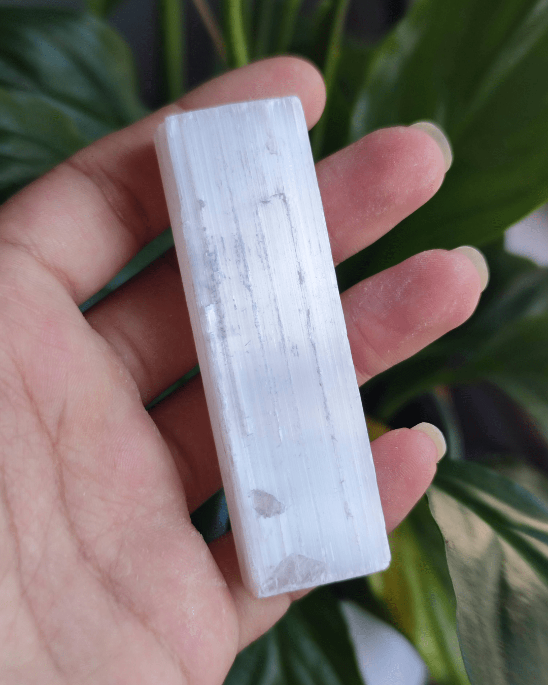 Invest in our Selenite Crystal from our genuine Crystal Collection in Lebanon at Sacred!