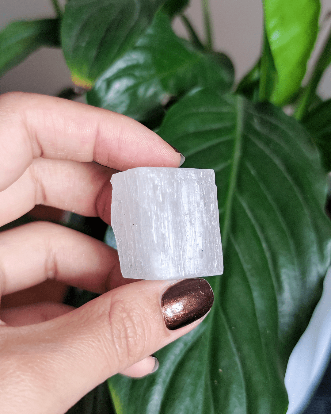 Selenite • The Stone of Divine Light in Lebanon at Sacred