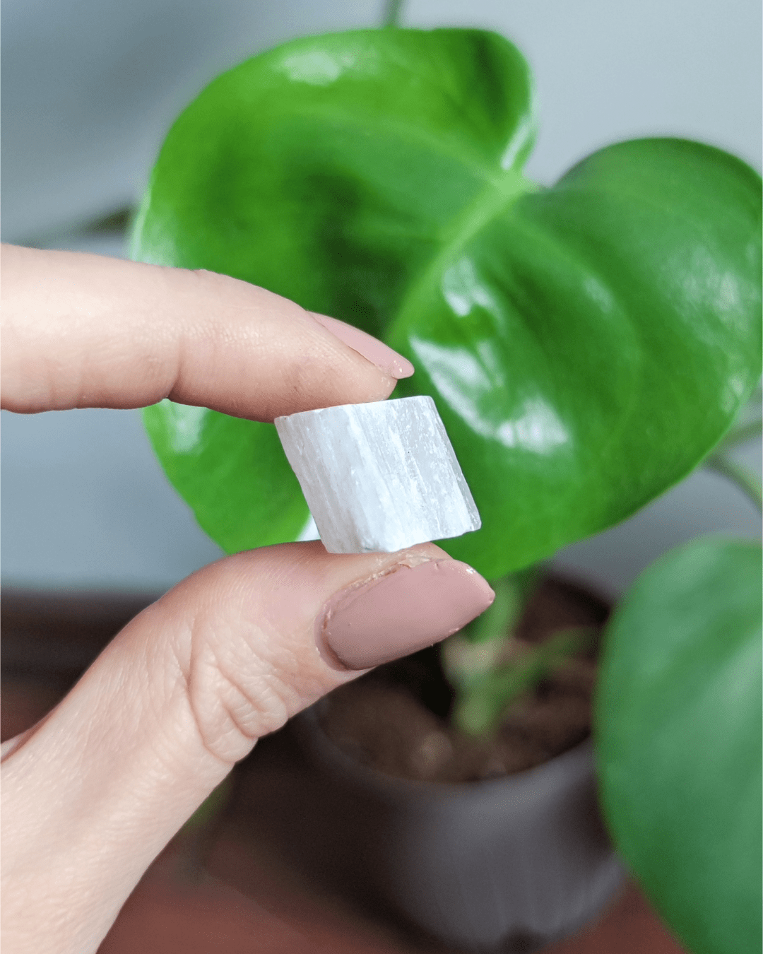 Selenite • The Stone of Divine Light in Lebanon at Sacred