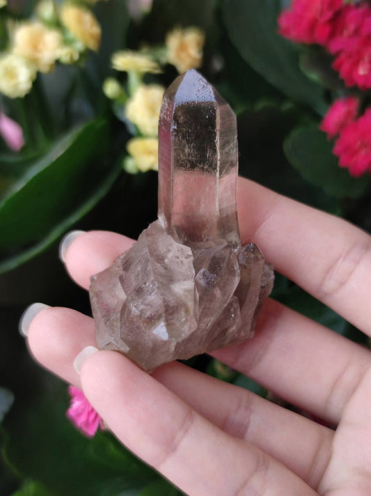 Invest in our Smoky Quartz in Lebanon at Sacred