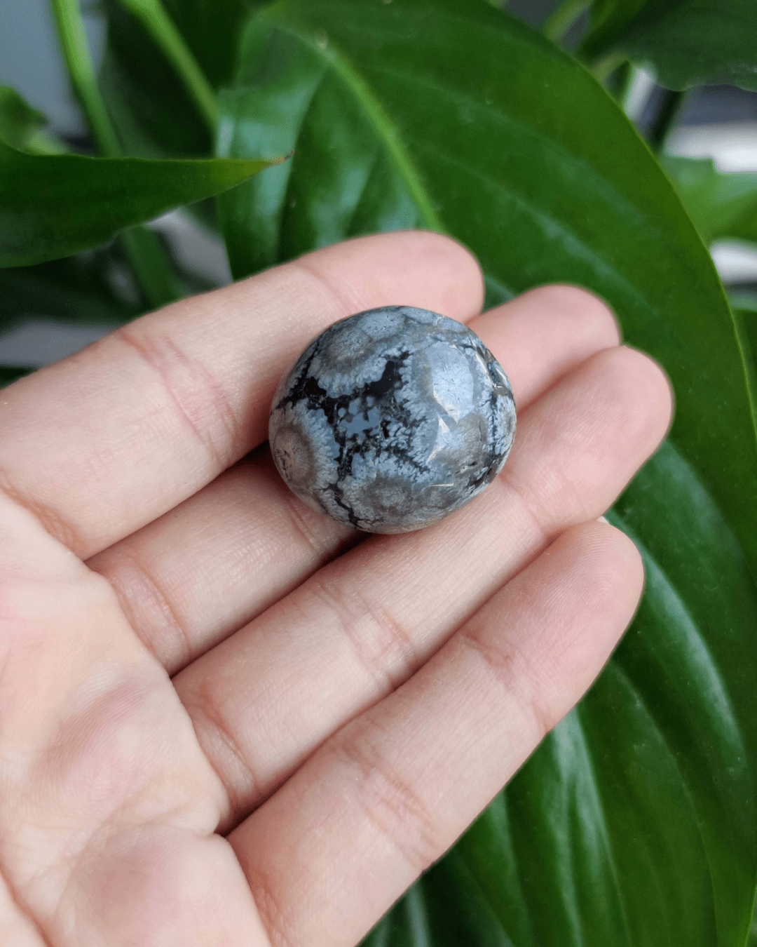 Snowflake Obsidian - Sacred