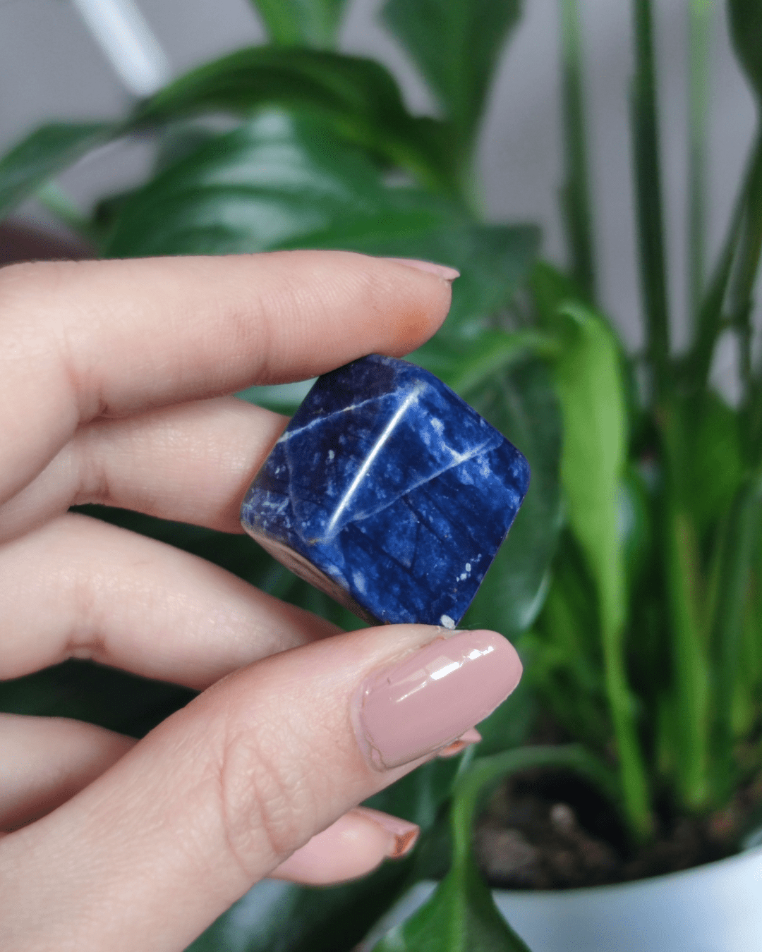 Sodalite • The Stone of Truth & Calm in Lebanon at Sacred
