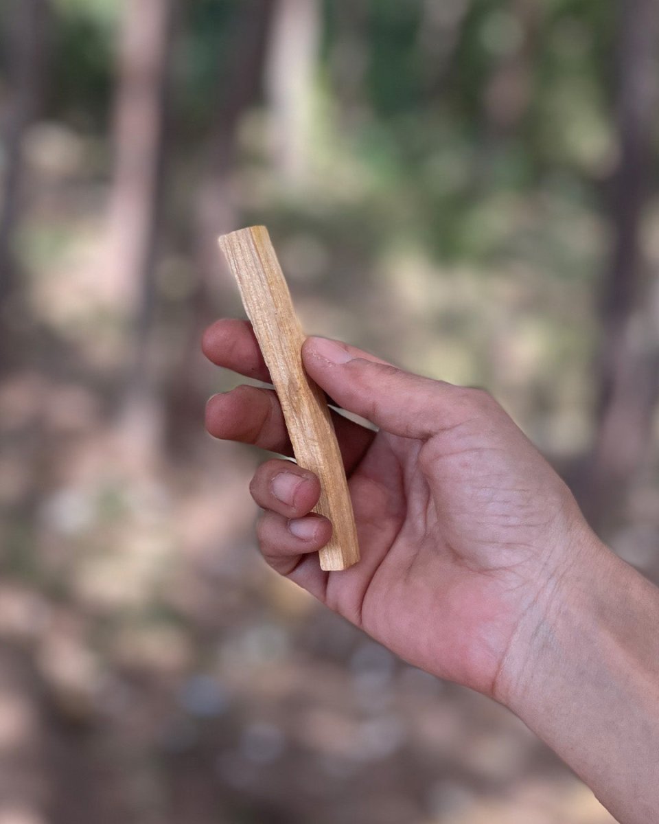 Palo Santo in Lebanon