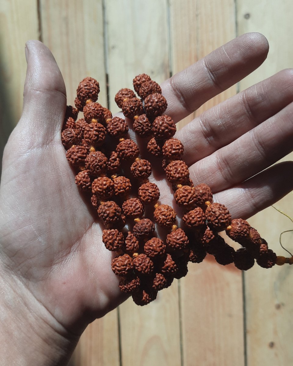 Invest in our Rudraksha Mala - 108 beads(10mm) in Lebanon at Sacred