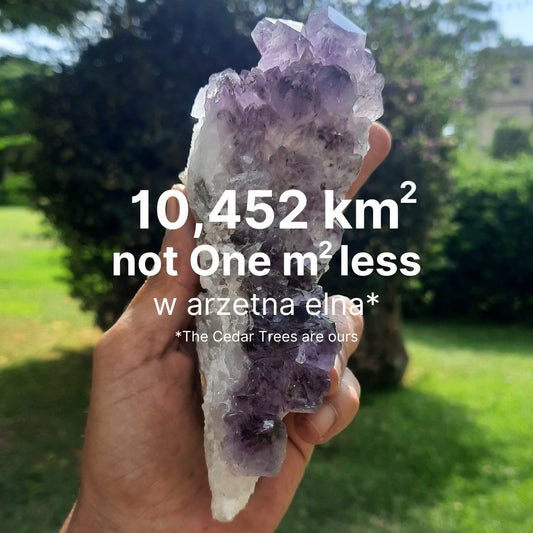 Lebanon 2nd Meditation: Awakening Our Indestructible Inner Giant | Oct 2024  - Lebanon - Sacred