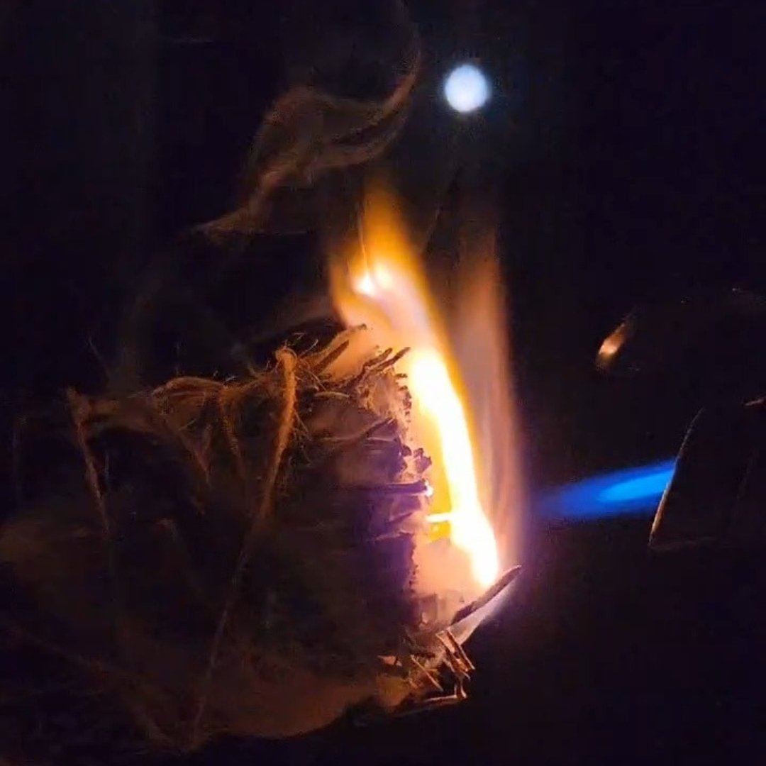 Moon Rituals: Living In Alignment With The Moon's Phases - Sacred