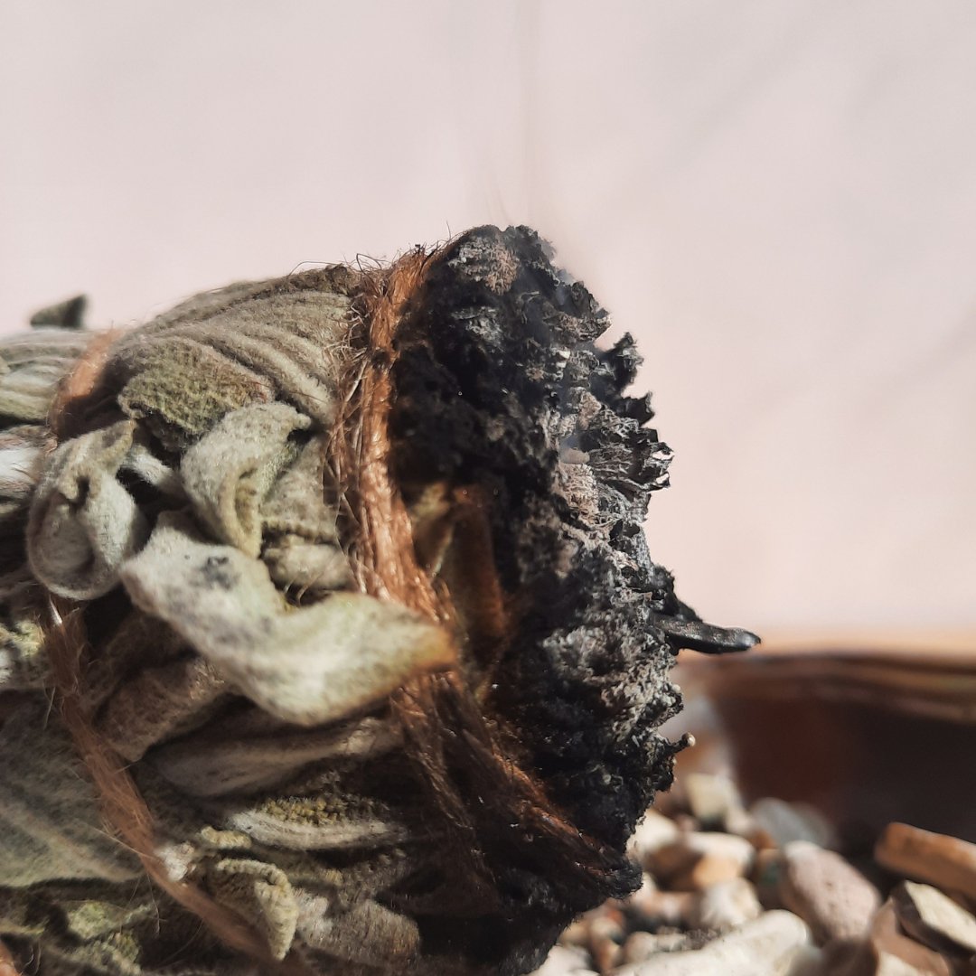 Prayers, Affirmations, and Mantras for Your Smudging Rituals - Sacred