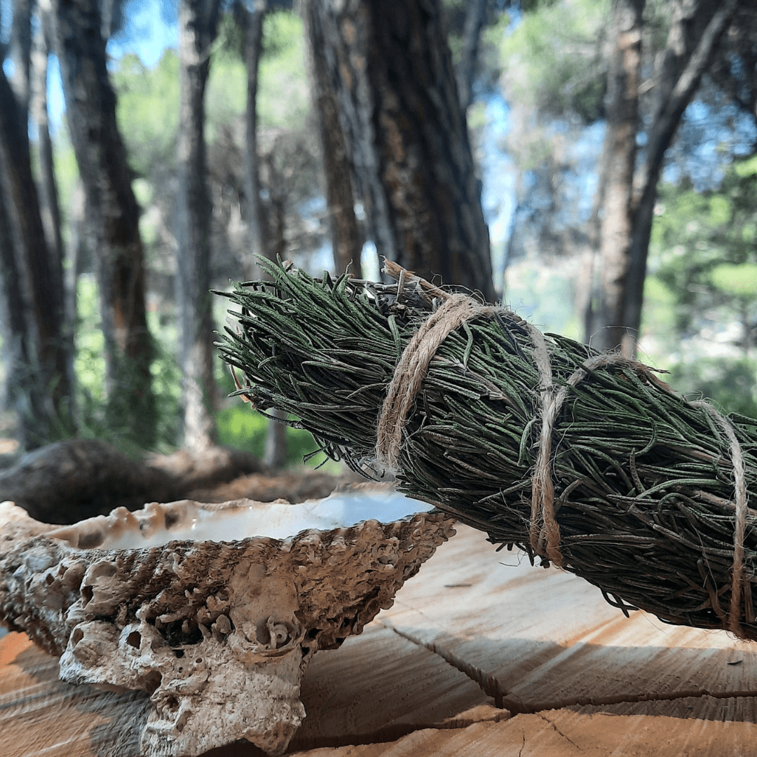 Smudging with Rosemary - Metaphysical Properties and Practical Tips - Lebanon - Sacred