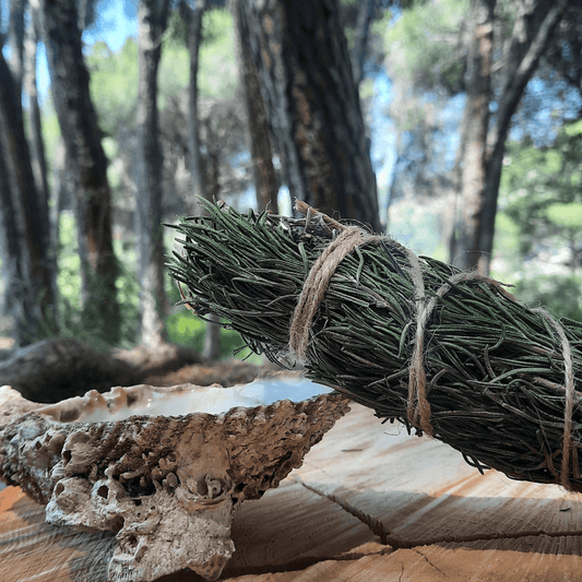 Smudging with Rosemary - Metaphysical Properties and Practical Tips - Lebanon - Sacred