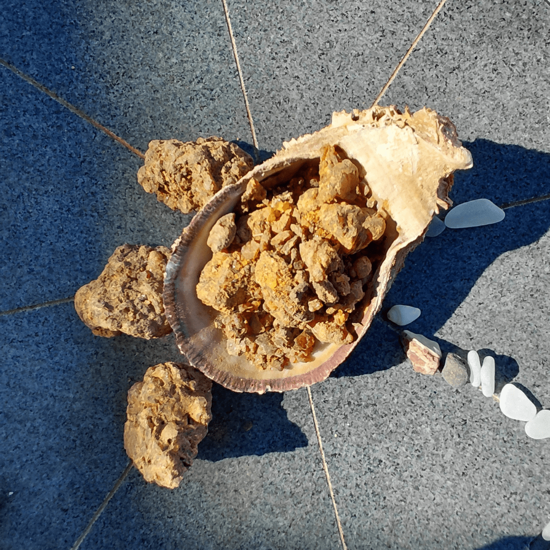 The 3 Most Powerful Smudging Tools for Charging - Lebanon - Sacred