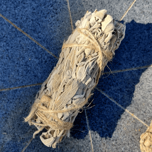 White Sage Vs Common Sage: Ethics & Energy Explained