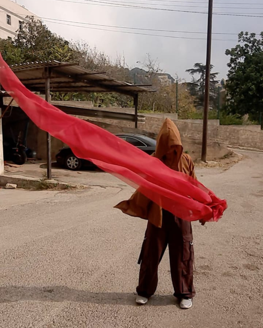 Lie de Vin - Veil Poi