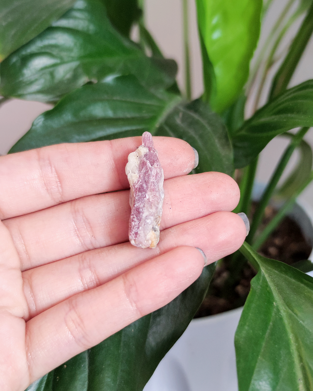 Invest in our Pink Tourmaline • The Stone of Balance from our wide Variety of Natural Crystals in Lebanon at Sacred!