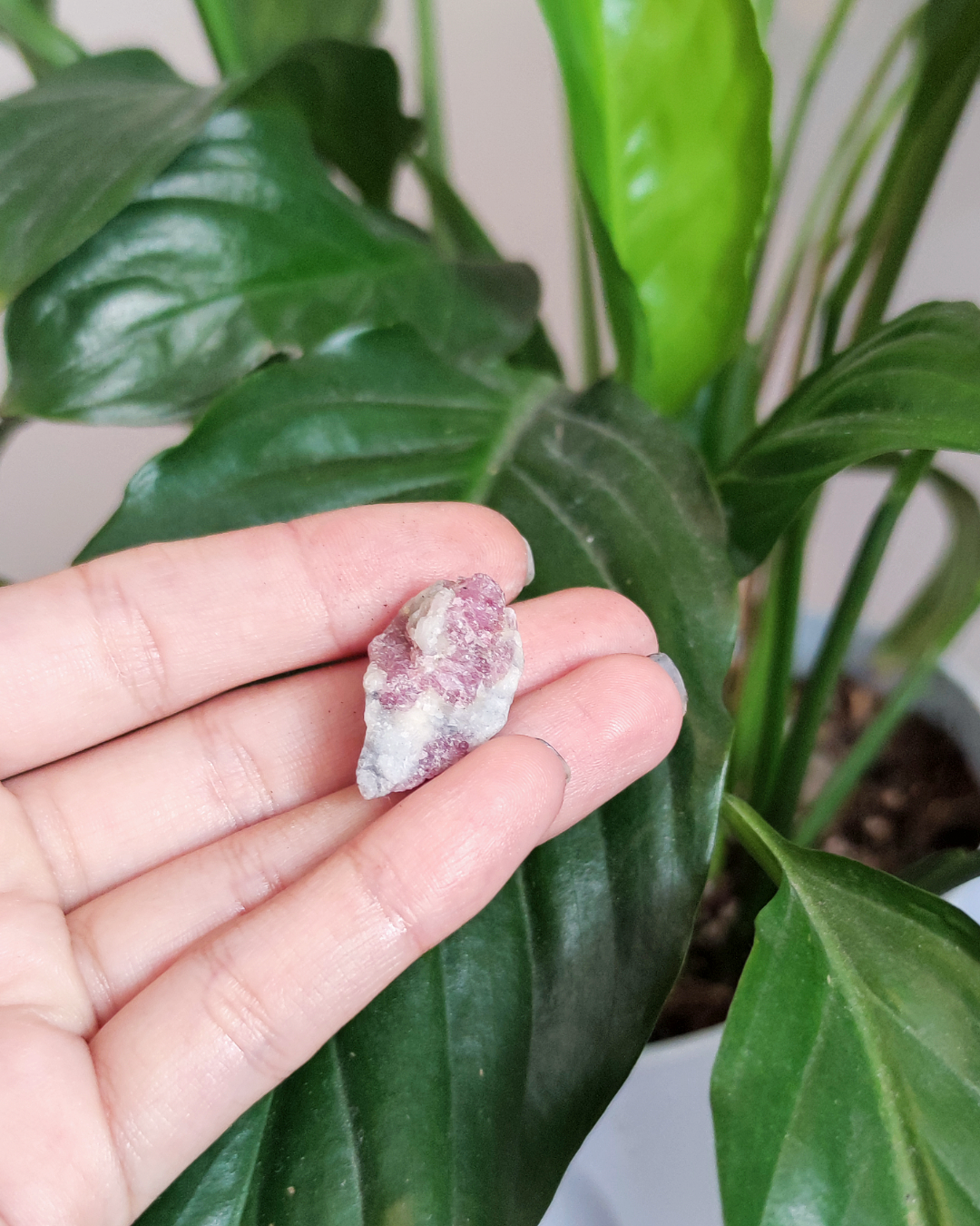 Invest in our Pink Tourmaline • The Stone of Balance from our wide Variety of Natural Crystals in Lebanon at Sacred!