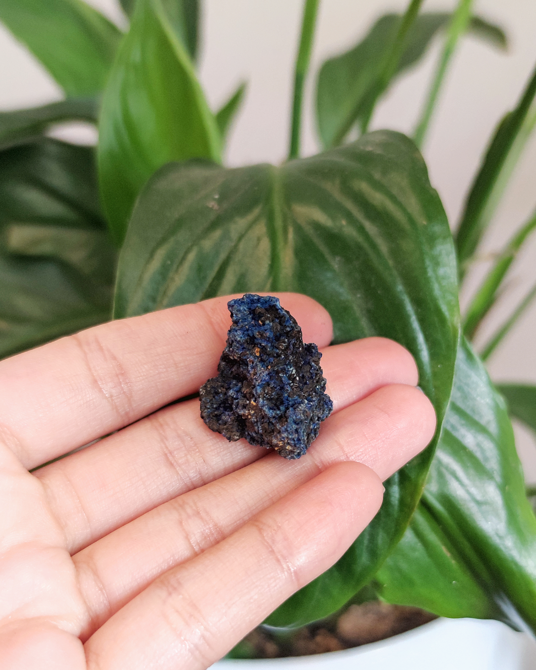 Invest in our Azurite • The Stone of Expansion  from our wide Variety of Natural Crystals in Lebanon at Sacred!