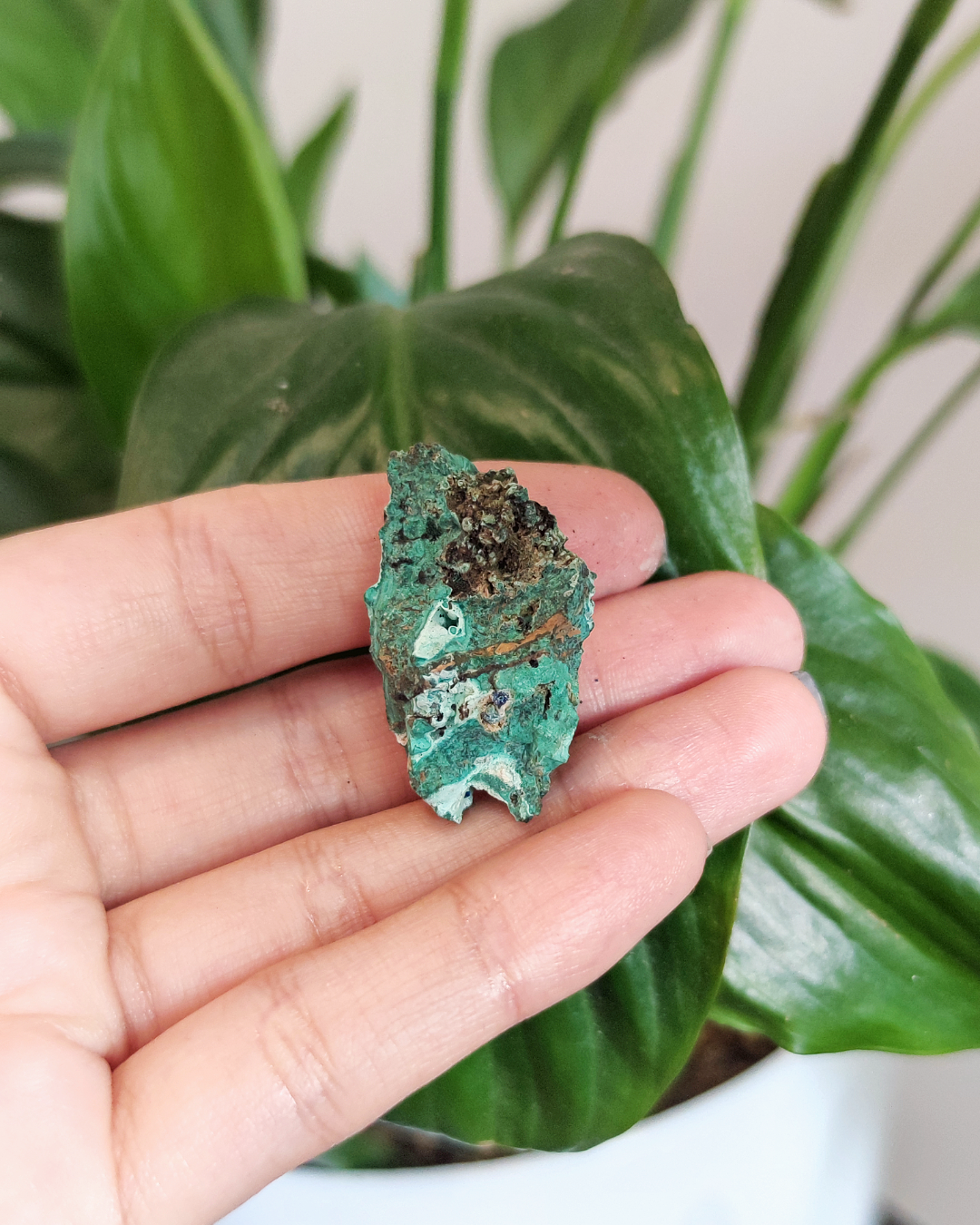 Invest in our Azurite • The Stone of Expansion  from our wide Variety of Natural Crystals in Lebanon at Sacred!