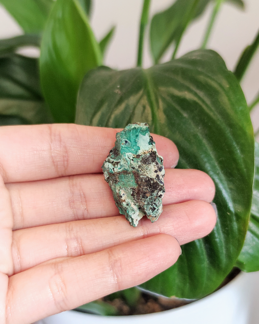 Invest in our Azurite • The Stone of Expansion from our wide Variety of Natural Crystals in Lebanon at Sacred!