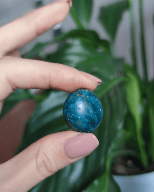 Invest in our Apatite • The Stone of Expression from our genuine Crystal Collection in Lebanon at Sacred!