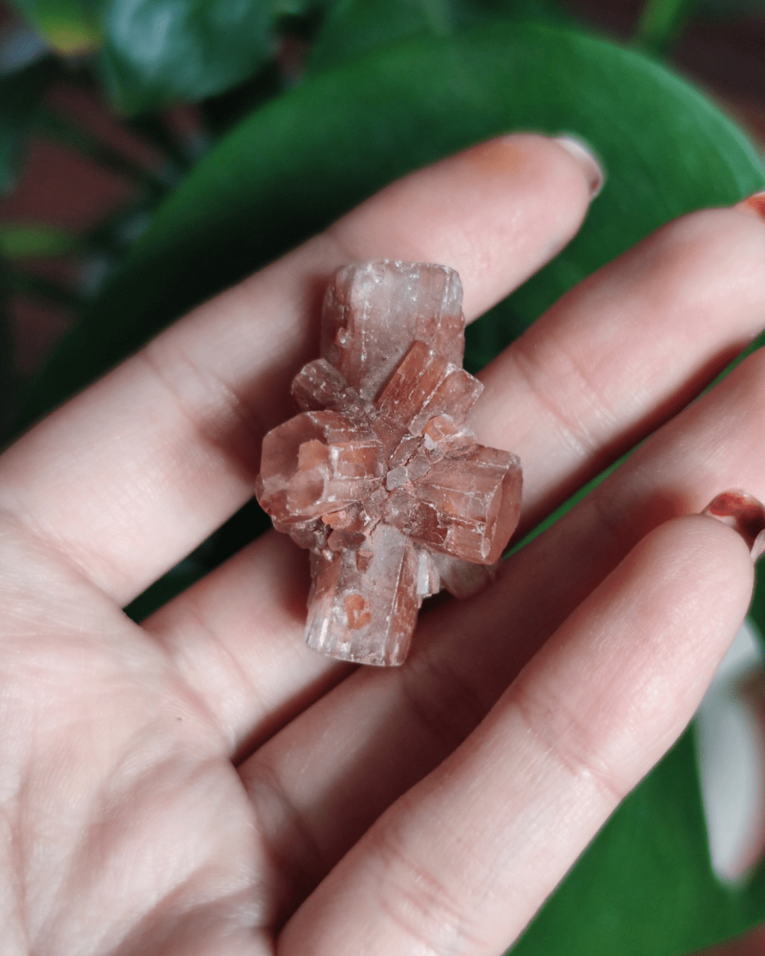 Aragonite • The Stone of Patience in Lebanon at Sacred