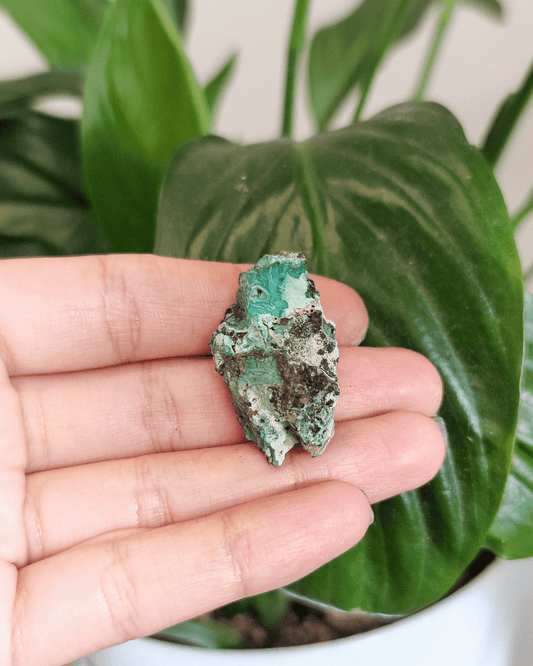 Invest in our Azurite • The Stone of Expansion  from our wide Variety of Natural Crystals in Lebanon at Sacred!