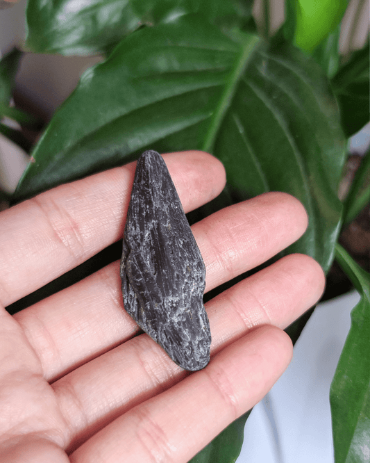 Invest in our Black Kyanite from our genuine Crystal Collection in Lebanon at Sacred!