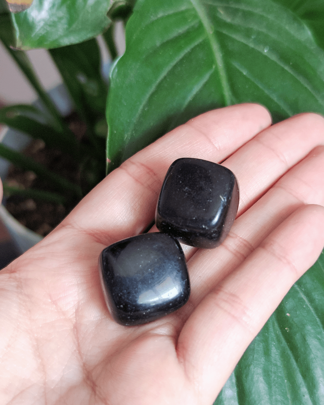 Black Obsidian • The Stone of Protection in Lebanon at Sacred