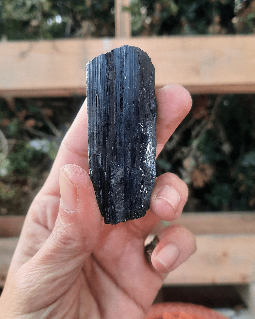 Black Tourmaline Raw - Sacred