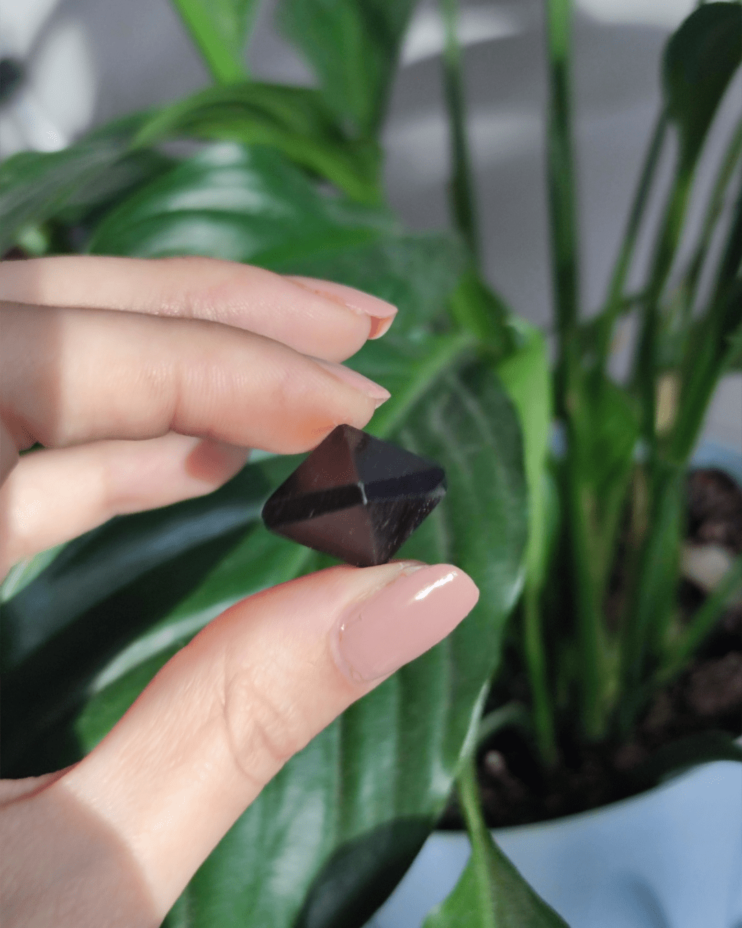 Black Tourmaline • The Stone of Grounding in Lebanon at Sacred