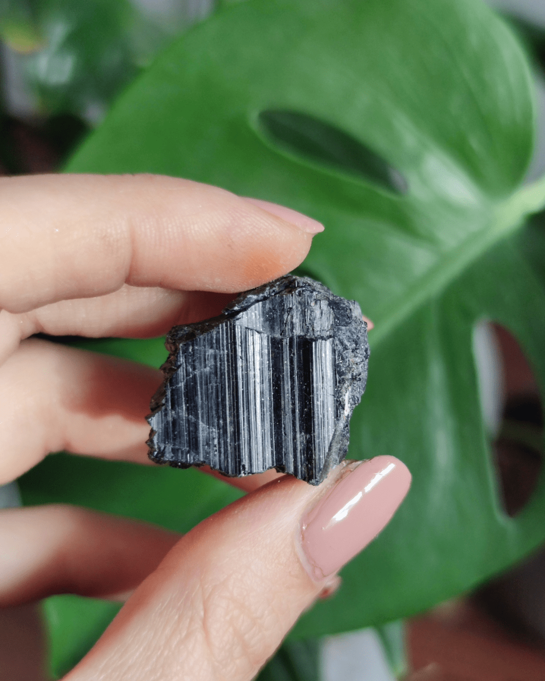 Black Tourmaline • The Stone of Grounding in Lebanon at Sacred