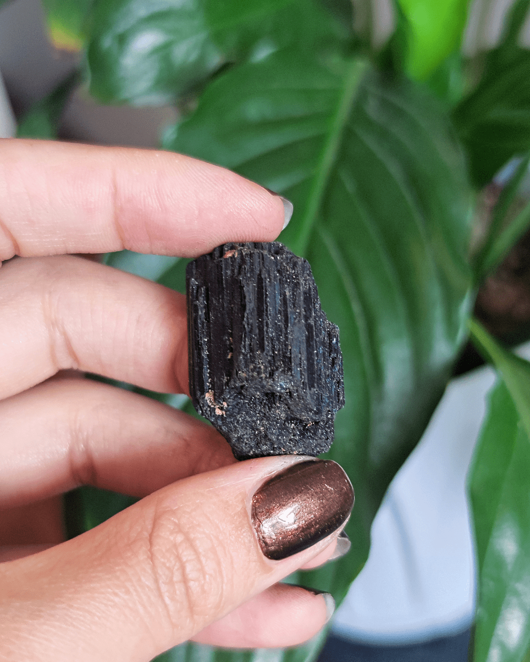 Black Tourmaline • The Stone of Grounding in Lebanon at Sacred