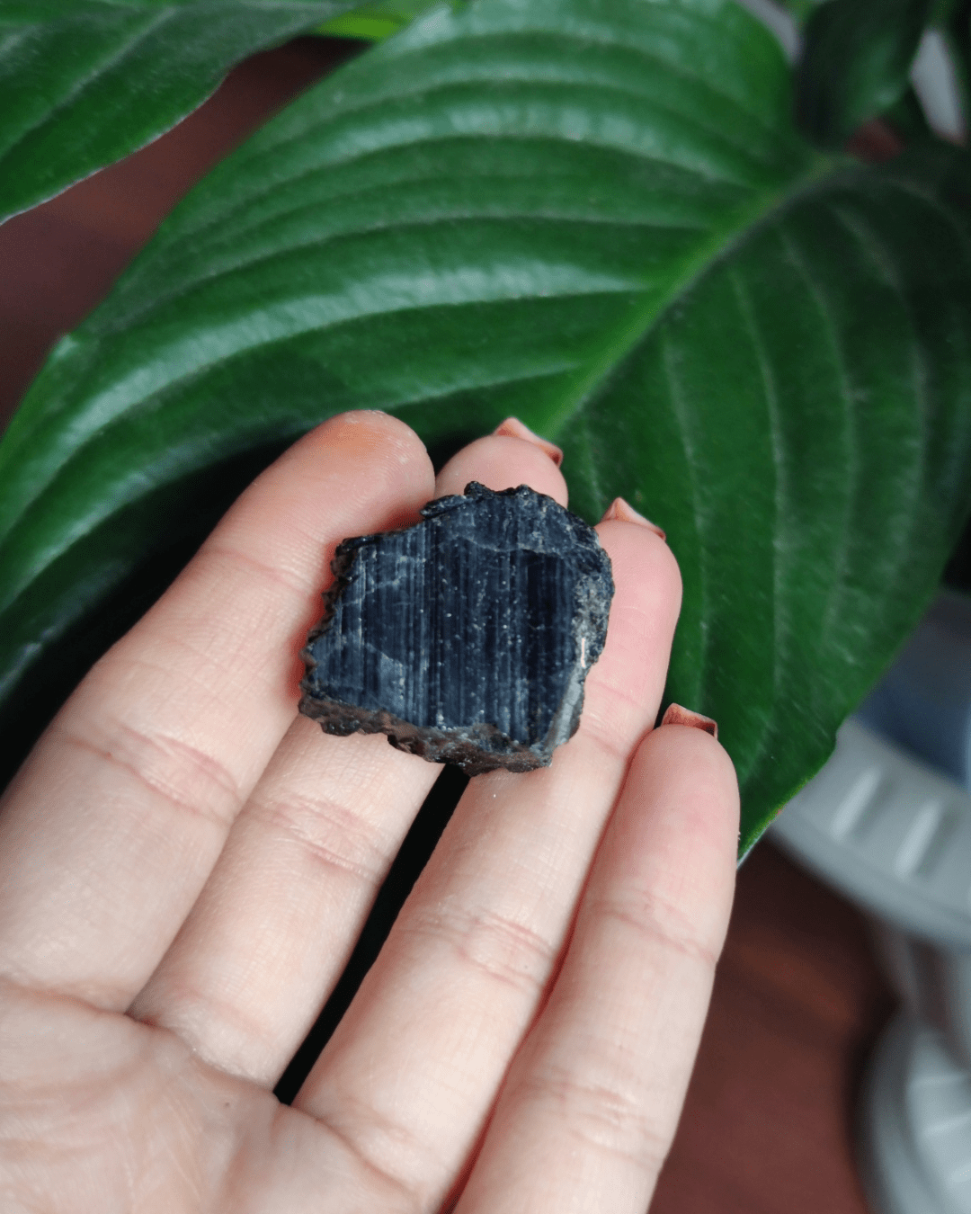 Black Tourmaline • The Stone of Grounding in Lebanon at Sacred