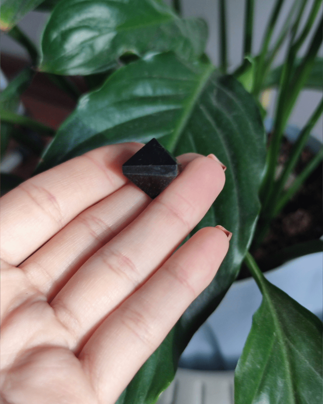 Black Tourmaline • The Stone of Grounding in Lebanon at Sacred