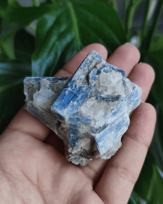 Blue Kyanite - Sacred