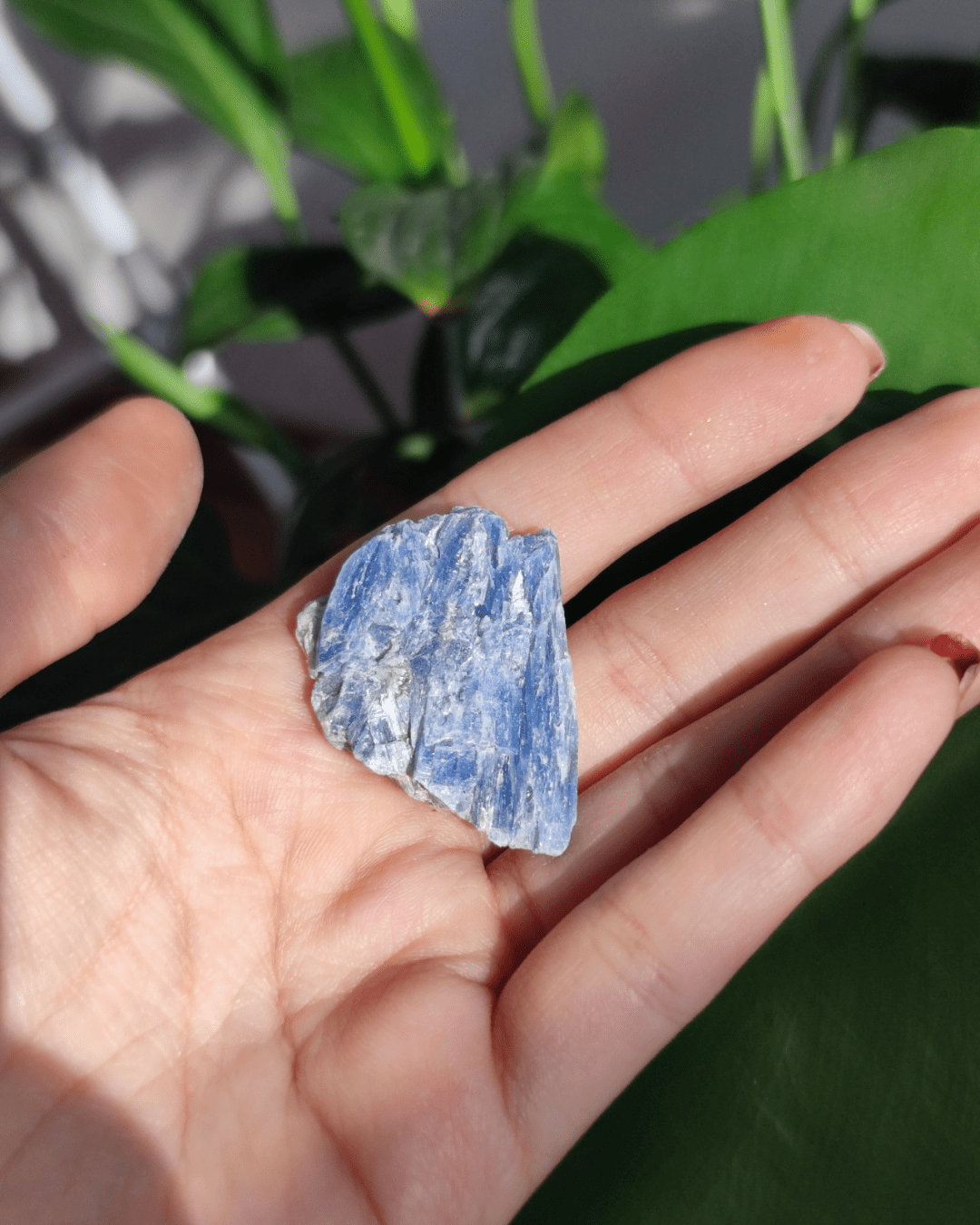 Blue Kyanite • The Stone of Alignment in Lebanon at Sacred