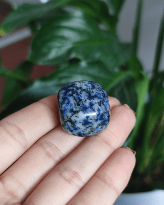 Invest in our Blue Spot Jasper crystal from our genuine Crystal Collection in Lebanon at Sacred!