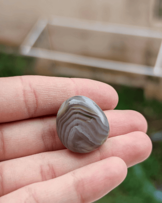 Botswana Agate - Sacred