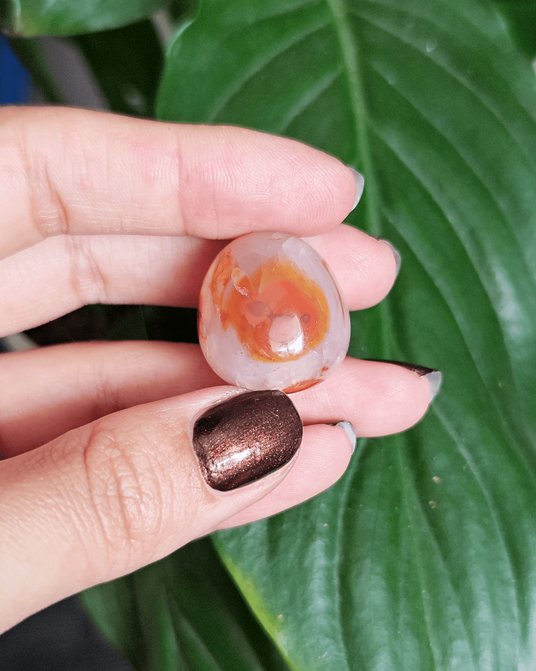 Carnelian • The Stone of Vitality in Lebanon at Sacred