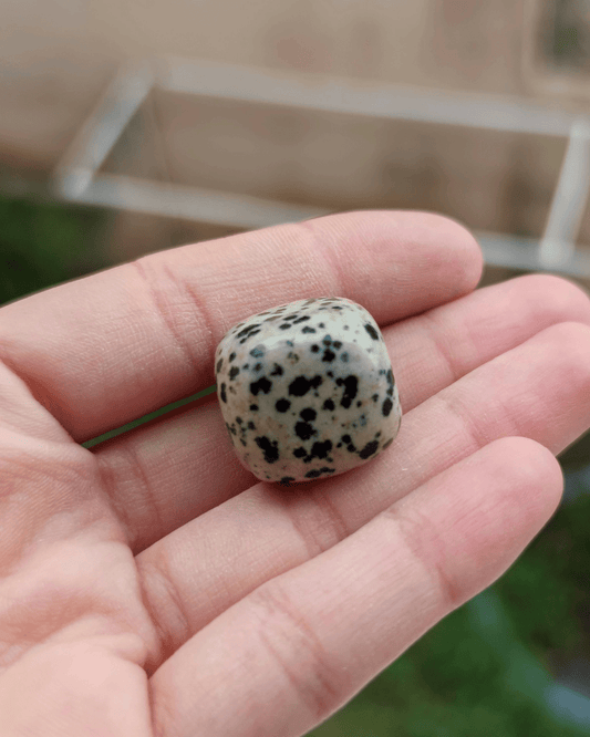 Dalmatian Jasper - Sacred