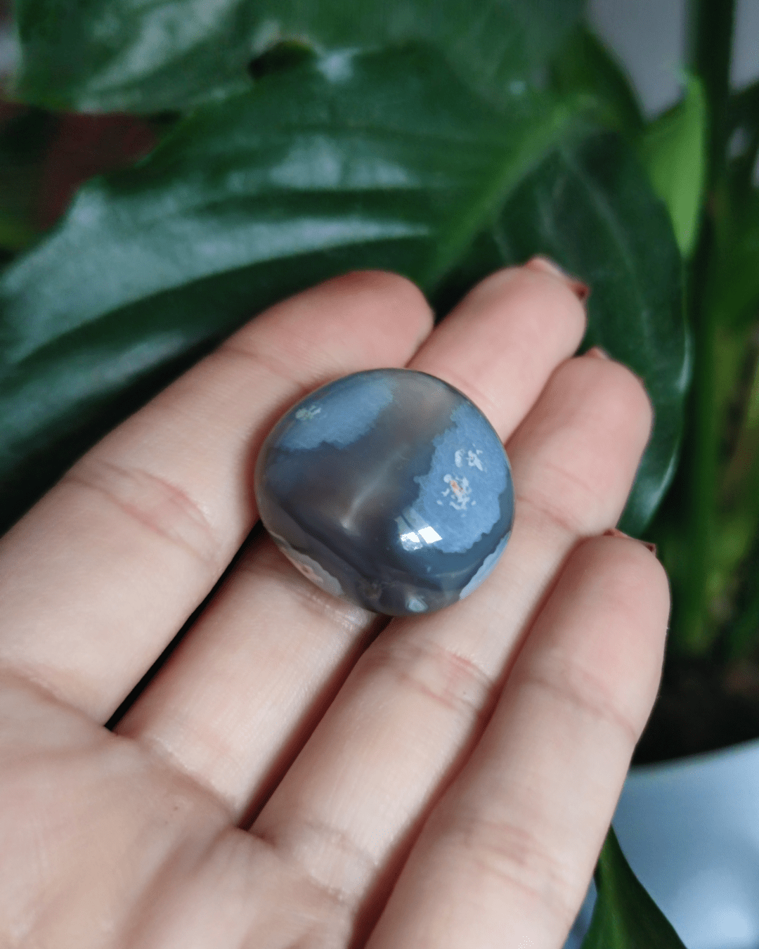 Invest in our Flower Agate • The Stone of New Beginnings from our genuine Crystal Collection in Lebanon at Sacred!